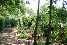 Photograph of Lamb Cottage Caravan Park, Whitegate