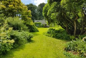 Photograph of Avenue Cottage, Ashprington