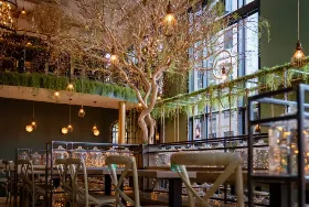 Photograph of Mowgli, Manchester