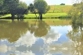 Photograph of Lake Farm, Fordingbridge