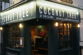 Photograph of Coconut Tree, Oxford