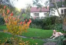 Photograph of Croft Cottage B&B, Ludlow
